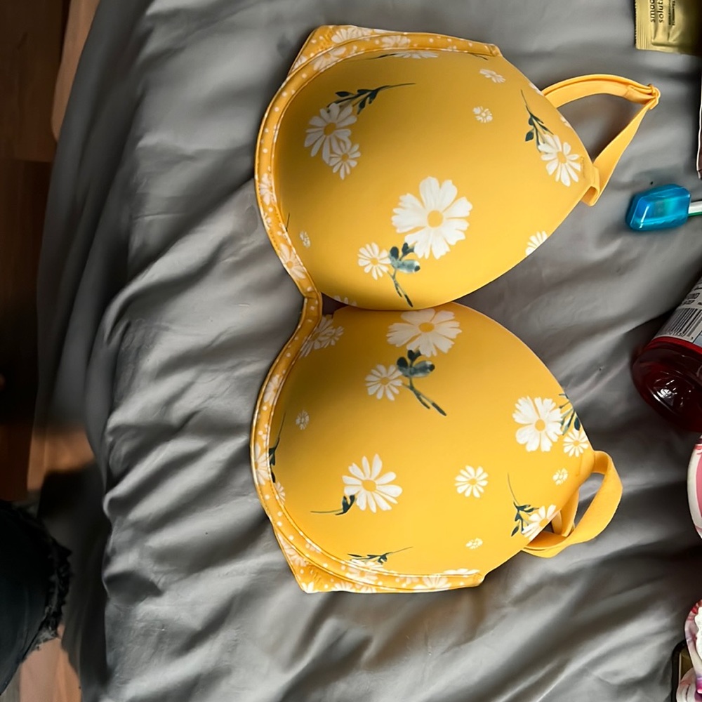Brand new pink bra